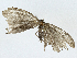  ( - BIOUG98661-C12)  @11 [ ] CreativeCommons - Attribution (2023) CBG Photography Group Centre for Biodiversity Genomics