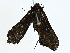  ( - BIOUG98661-D04)  @11 [ ] CreativeCommons - Attribution (2023) CBG Photography Group Centre for Biodiversity Genomics