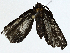  ( - BIOUG98661-G04)  @11 [ ] CreativeCommons - Attribution (2023) CBG Photography Group Centre for Biodiversity Genomics