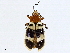  ( - BIOUG98662-G01)  @11 [ ] CreativeCommons - Attribution Non-Commercial Share-Alike (2023) CBG Photography Group Centre for Biodiversity Genomics