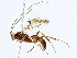  ( - BIOUG98663-E04)  @11 [ ] CreativeCommons - Attribution (2023) CBG Photography Group Centre for Biodiversity Genomics