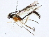  ( - BIOUG98663-E07)  @11 [ ] CreativeCommons - Attribution (2023) CBG Photography Group Centre for Biodiversity Genomics