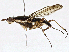  ( - BIOUG98664-G11)  @11 [ ] CreativeCommons - Attribution (2023) CBG Photography Group Centre for Biodiversity Genomics