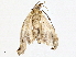  ( - BIOUG98665-C03)  @11 [ ] CreativeCommons - Attribution (2023) CBG Photography Group Centre for Biodiversity Genomics