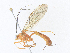  ( - CBG-A36854-D12)  @11 [ ] CreativeCommons - Attribution Share - Alike (2024) CBG Photography Group Centre for Biodiversity Genomics