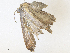  ( - CBG-A36861-F08)  @11 [ ] CreativeCommons - Attribution Share - Alike (2024) CBG Photography Group Centre for Biodiversity Genomics