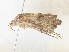  ( - CBG-A36861-H11)  @11 [ ] CreativeCommons - Attribution Share - Alike (2024) CBG Photography Group Centre for Biodiversity Genomics