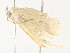  ( - CBG-A36862-F06)  @11 [ ] CreativeCommons - Attribution Share - Alike (2024) CBG Photography Group Centre for Biodiversity Genomics