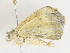  ( - CBG-A38545-F05)  @11 [ ] CreativeCommons - Attribution Share - Alike (2024) CBG Photography Group Centre for Biodiversity Genomics