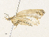  ( - CBG-A38547-G05)  @11 [ ] CreativeCommons - Attribution Share - Alike (2024) CBG Photography Group Centre for Biodiversity Genomics