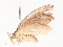  ( - CBG-A38548-A01)  @11 [ ] CreativeCommons - Attribution Share - Alike (2024) CBG Photography Group Centre for Biodiversity Genomics