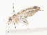  ( - CBG-A38548-B10)  @11 [ ] CreativeCommons - Attribution Share - Alike (2024) CBG Photography Group Centre for Biodiversity Genomics