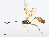 ( - CBG-A06261-F05)  @11 [ ] CreativeCommons - Attribution Share - Alike (2023) CBG Photography Group Centre for Biodiversity Genomics