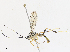  ( - CBG-A06275-B02)  @11 [ ] CreativeCommons - Attribution Share - Alike (2023) CBG Photography Group Centre for Biodiversity Genomics