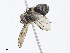  ( - CBG-A06276-C08)  @11 [ ] CreativeCommons - Attribution Share - Alike (2023) CBG Photography Group Centre for Biodiversity Genomics