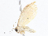  ( - CBG-A08718-A03)  @11 [ ] CreativeCommons - Attribution Share - Alike (2023) CBG Photography Group Centre for Biodiversity Genomics