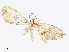  ( - CBG-A08718-B01)  @11 [ ] CreativeCommons - Attribution Share - Alike (2023) CBG Photography Group Centre for Biodiversity Genomics