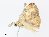  (geoMalaise01 Malaise1992 - CBG-A08718-C01)  @11 [ ] CreativeCommons - Attribution Share - Alike (2023) CBG Photography Group Centre for Biodiversity Genomics