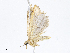  ( - CBG-A08718-C07)  @11 [ ] CreativeCommons - Attribution Share - Alike (2023) CBG Photography Group Centre for Biodiversity Genomics