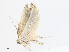  ( - CBG-A08719-A03)  @11 [ ] CreativeCommons - Attribution Share - Alike (2023) CBG Photography Group Centre for Biodiversity Genomics