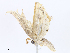  ( - CBG-A08719-A07)  @11 [ ] CreativeCommons - Attribution Share - Alike (2023) CBG Photography Group Centre for Biodiversity Genomics