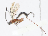  ( - CBG-A08719-D07)  @11 [ ] CreativeCommons - Attribution Share - Alike (2023) CBG Photography Group Centre for Biodiversity Genomics