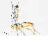  ( - CBG-A08719-F07)  @11 [ ] CreativeCommons - Attribution Share - Alike (2023) CBG Photography Group Centre for Biodiversity Genomics