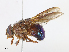  ( - CBG-A08723-G06)  @11 [ ] CreativeCommons - Attribution Share - Alike (2023) CBG Photography Group Centre for Biodiversity Genomics