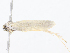  ( - CBG-A08724-B07)  @11 [ ] CreativeCommons - Attribution Share - Alike (2023) CBG Photography Group Centre for Biodiversity Genomics