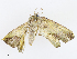  ( - CBG-A08724-C03)  @11 [ ] CreativeCommons - Attribution Share - Alike (2023) CBG Photography Group Centre for Biodiversity Genomics