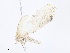  ( - CBG-A08724-D07)  @11 [ ] CreativeCommons - Attribution Share - Alike (2023) CBG Photography Group Centre for Biodiversity Genomics
