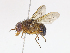  ( - CBG-A08739-G03)  @11 [ ] CreativeCommons - Attribution Share-Alike (2023) CBG Photography Group Centre for Biodiversity Genomics