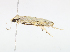  ( - CBG-A08739-G04)  @11 [ ] CreativeCommons - Attribution Share-Alike (2023) CBG Photography Group Centre for Biodiversity Genomics