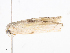  ( - CBG-A08739-H04)  @11 [ ] CreativeCommons - Attribution Share-Alike (2023) CBG Photography Group Centre for Biodiversity Genomics