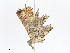  ( - CBG-A08740-B05)  @11 [ ] CreativeCommons - Attribution Share - Alike (2023) CBG Photography Group Centre for Biodiversity Genomics
