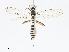 ( - CBG-A08740-B07)  @11 [ ] CreativeCommons - Attribution Share - Alike (2023) CBG Photography Group Centre for Biodiversity Genomics