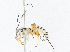  ( - CBG-A08740-B12)  @11 [ ] CreativeCommons - Attribution Share - Alike (2023) CBG Photography Group Centre for Biodiversity Genomics
