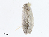 ( - CBG-A08740-C03)  @11 [ ] CreativeCommons - Attribution Share - Alike (2023) CBG Photography Group Centre for Biodiversity Genomics
