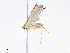  ( - CBG-A08740-F06)  @11 [ ] CreativeCommons - Attribution Share - Alike (2023) CBG Photography Group Centre for Biodiversity Genomics