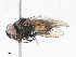  ( - CBG-A08740-G07)  @11 [ ] CreativeCommons - Attribution Share - Alike (2023) CBG Photography Group Centre for Biodiversity Genomics