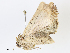  ( - CBG-A08741-C09)  @11 [ ] CreativeCommons - Attribution Share - Alike (2023) CBG Photography Group Centre for Biodiversity Genomics
