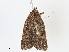  ( - CBG-A08741-C10)  @11 [ ] CreativeCommons - Attribution Share - Alike (2023) CBG Photography Group Centre for Biodiversity Genomics