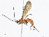  ( - CBG-A10813-B04)  @11 [ ] CreativeCommons - Attribution Share - Alike (2023) CBG Photography Group Centre for Biodiversity Genomics