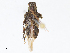  ( - CBG-A10813-C10)  @11 [ ] CreativeCommons - Attribution Share - Alike (2023) CBG Photography Group Centre for Biodiversity Genomics