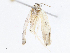  ( - CBG-A10813-D04)  @11 [ ] CreativeCommons - Attribution Share - Alike (2023) CBG Photography Group Centre for Biodiversity Genomics