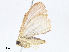  ( - CBG-A10813-E07)  @11 [ ] CreativeCommons - Attribution Share - Alike (2023) CBG Photography Group Centre for Biodiversity Genomics