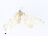  ( - CBG-A10814-B10)  @11 [ ] CreativeCommons - Attribution Share - Alike (2023) CBG Photography Group Centre for Biodiversity Genomics