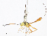  ( - CBG-A10815-B09)  @11 [ ] CreativeCommons - Attribution Share - Alike (2023) CBG Photography Group Centre for Biodiversity Genomics