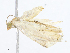  ( - CBG-A10815-C04)  @11 [ ] CreativeCommons - Attribution Share - Alike (2023) CBG Photography Group Centre for Biodiversity Genomics