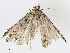  ( - CBG-A10816-D10)  @11 [ ] CreativeCommons - Attribution Share - Alike (2023) CBG Photography Group Centre for Biodiversity Genomics